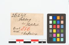 Etikett zu Bernsteinringperle (NHMW-PRAE-026247)